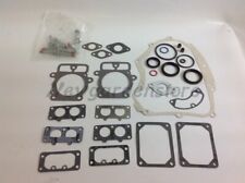 Série Segments Kit Joints BRIGGS&STRATTON 320036 694012 INTEK 18 22HP