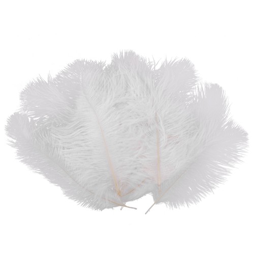 Pièces plume autruche - plume, d'autruche
