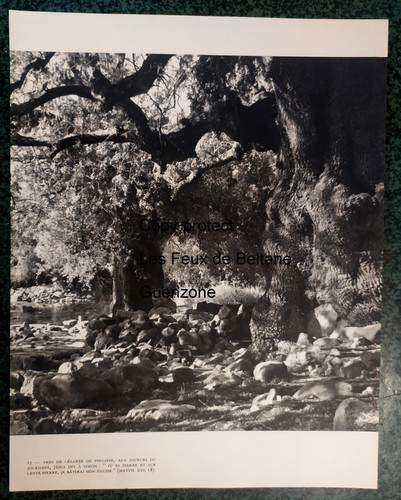 Source jourdain cesaree de - cesaree,