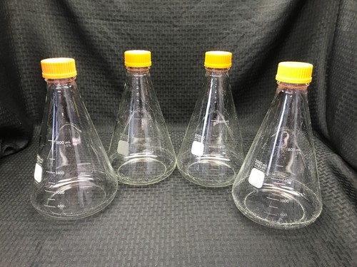 Pyrex 2000ml glass wide - (4), 2l