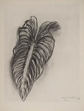 Henri MATISSE : Etude de feuille, Lithographie signée