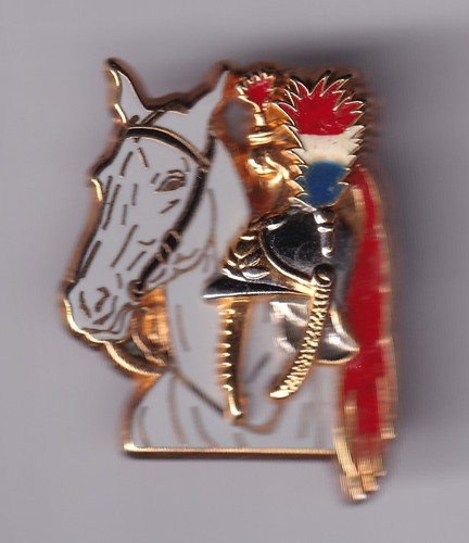 Rare pins pin gendarmerie - pins,