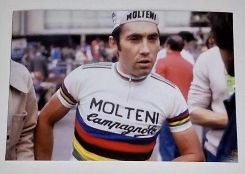 Photo cycliste eddy merckx - photo,