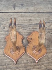 Ancien Porte Fusils Ou Porte Manteau Fait Avec Des Pates De Chevreuil