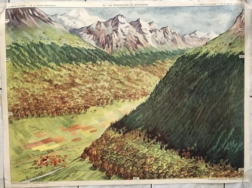 Affiche scolaire pédagogique - scolaire,