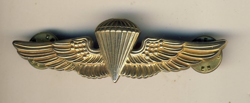 Insigne brevet para usmc - insigne,
