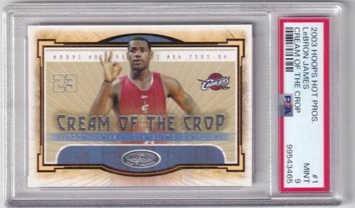 2003 fleer skybox - fleer, nba