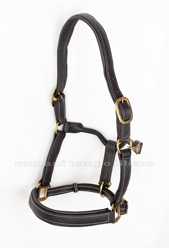 Cavezza pour chevaux - cavezza,