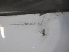 Pare choc arriere RENAULT