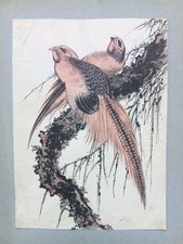 Tableau Ancien Dessin Encre Oiseaux Branché Japon ? Xix Ème Siècle