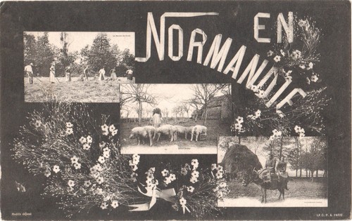 Multivues souvenir en - -,