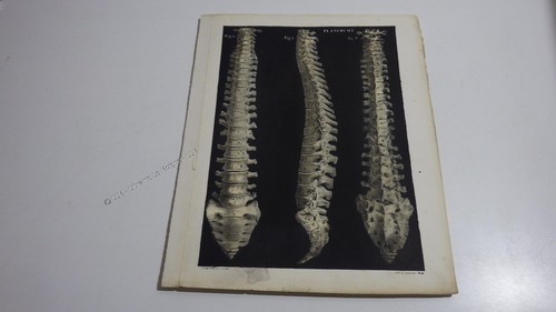 1850 lithographie couleur - 1850.lithographie,