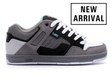 Mens DVS Enduro 125 Skate Shoe