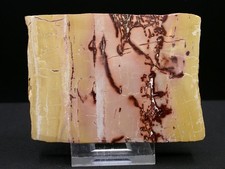 JASPE MOKAITE, BELLE PLAQUE