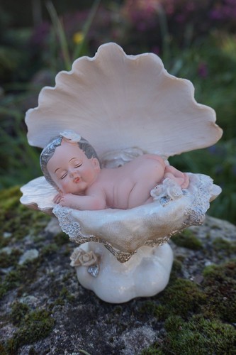 Hf1579 bebe dans coquillage - hf1579,
