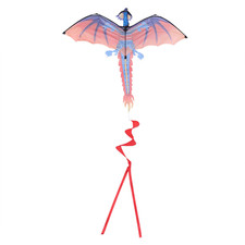 3D Dragon Kite Outdoor