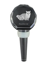 Munchkin Chat Épais Bouchon