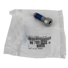 Pour Peugeot 207 208 307 308 2008 3008 Partner Vis Etrier de Frein 9678008680