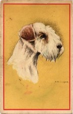 CPA AK Airedale Terrier DOGS (729314)