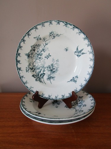 Assiettes creuses st - st, amand