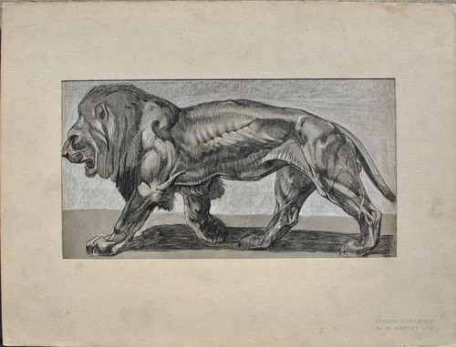 Mathurin meheut le lion - meheut,