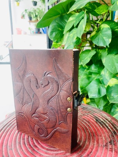 Livre vierge double dragon - , en