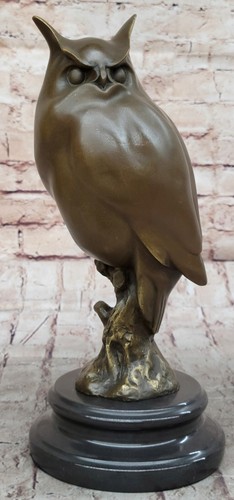Grand prey chouette oiseau - prey,