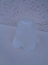 TULIPE GLOBE POUR LAMPE