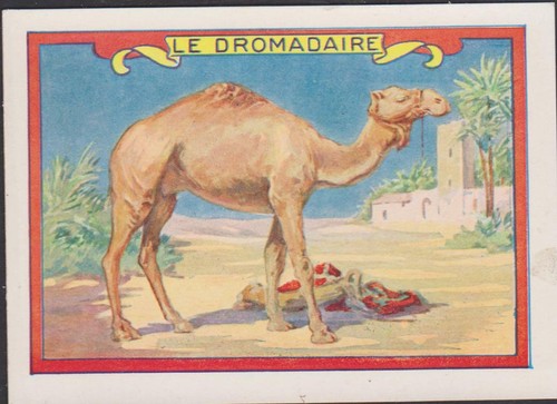 Rare image chromo educatif - image,
