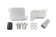 Plaque de suppression antipollution TRIUMPH DAYTONA 675 - STREET TRIPLE 675 -