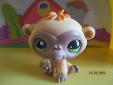 Petshop singe 2457 version - singe, /