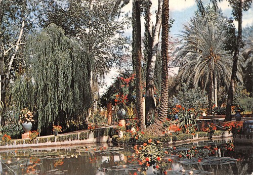 Maroc marrakech jardin - maroc,