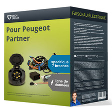 Faisceau spécifique au