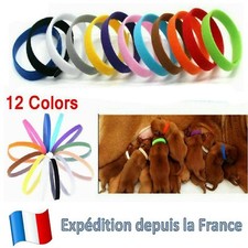 12 colliers d'identification réglable pour chiot chaton mise bas élevage 