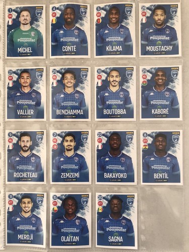 Chamois niortais niort 15 - chamois,