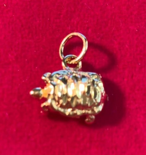 14kt plaqué mignon tortue - plaqué, or