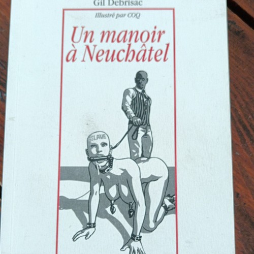 Roman érotique illustré - roman,