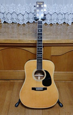 Guitare acoustique Tokai Cat's