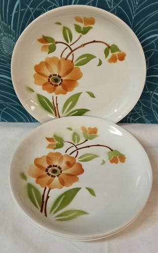 Assiettes plates rebord - assiettes,