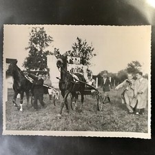 Photo Cheval Trotteur De  Robert De Rozycki Course Hippique Horse Racing 1947 4