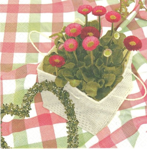 Lot serviettes en papier - serviettes,