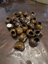 24 Coquilles D'escargots En