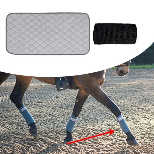 Protection jambe pour - protection, de