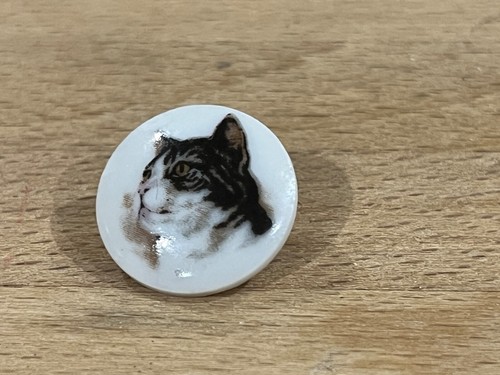 Pins pin animaux - pin, chat
