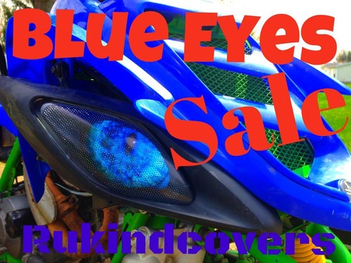 Bleu eye tête léger - tête, phare