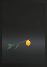 Kozo Inoue, Fruit Dori