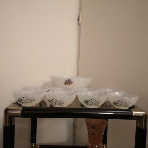 Service fruit arcopal - service,