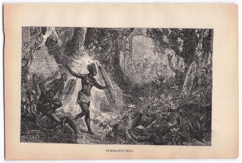 Vintage tembandumba - vintage, "tembandumba"