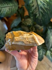 Magnifique Hache Taillée Préhistorique 