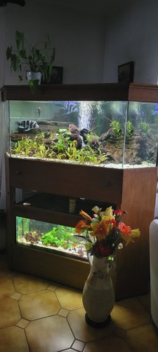 Aquarium 600 2 - 600,